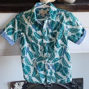 Gorgeous parrot summer shirt